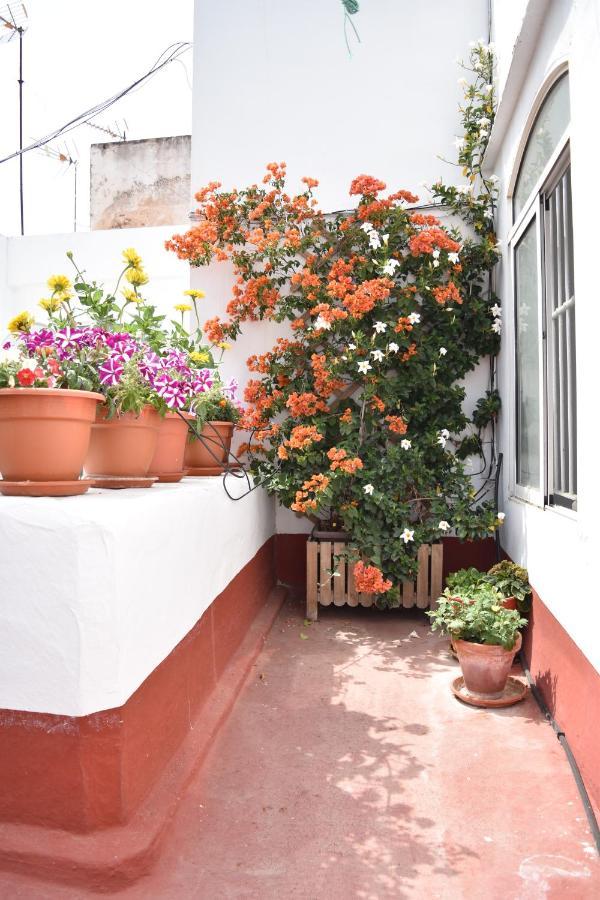 Veedor 12 Apartment Cadiz Exterior photo