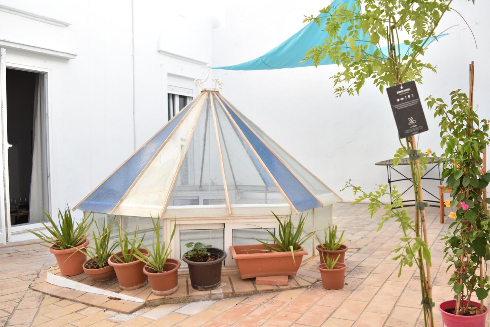 Veedor 12 Apartment Cadiz Exterior photo