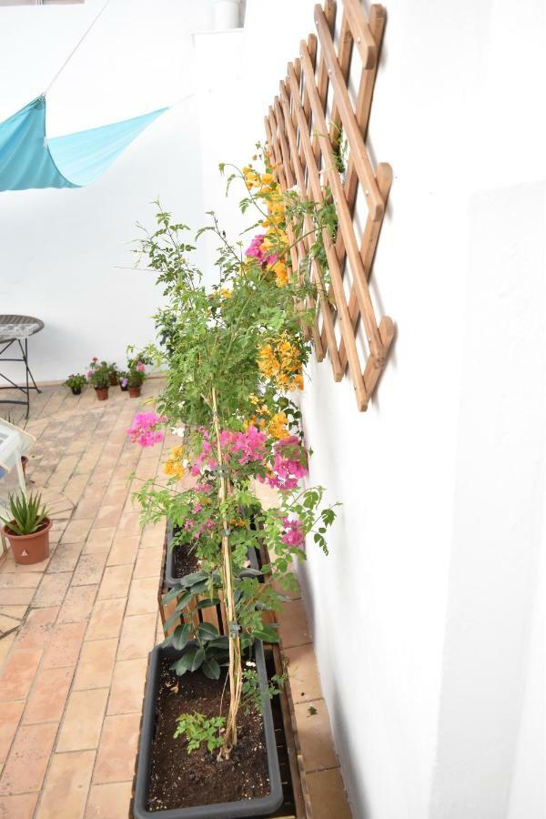 Veedor 12 Apartment Cadiz Exterior photo